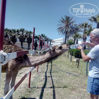 фото из отзыва ID 1968884