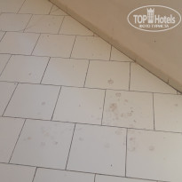 фото из отзыва ID 1964649