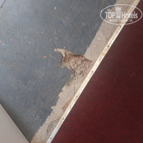 фото из отзыва ID 1964649