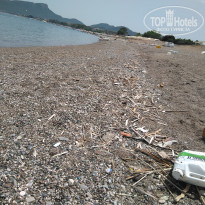 фото из отзыва ID 1968999