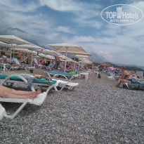 фото из отзыва ID 1968999