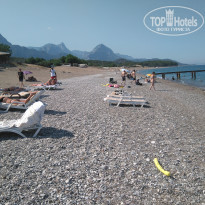 фото из отзыва ID 1968999