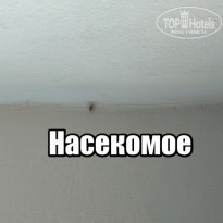 фото из отзыва ID 1968999