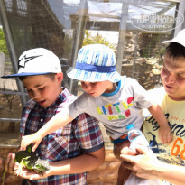 фото из отзыва ID 1968749