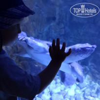 фото из отзыва ID 1968749