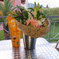 фото из отзыва ID 1969093