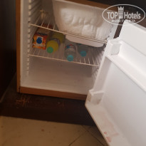 фото из отзыва ID 1969137