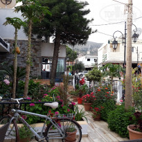 фото из отзыва ID 1969117