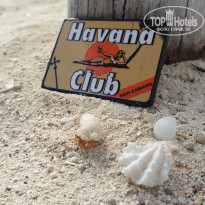 фото из отзыва ID 1969095