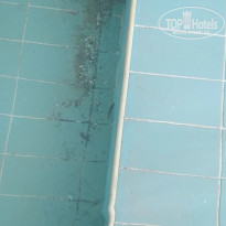 фото из отзыва ID 1969242