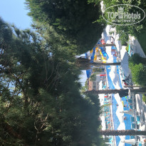 фото из отзыва ID 1969268