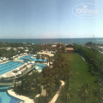 фото из отзыва ID 1969288