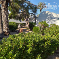 фото из отзыва ID 1968441