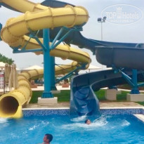 фото из отзыва ID 1969380