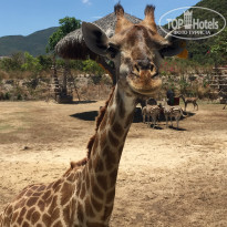 фото из отзыва ID 1969362