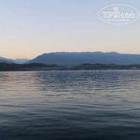 фото из отзыва ID 1969390