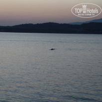 фото из отзыва ID 1969390