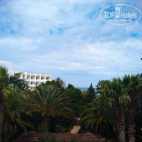 фото из отзыва ID 1969467