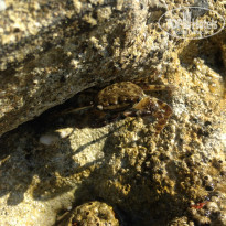 фото из отзыва ID 1969477