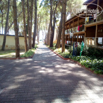 фото из отзыва ID 1969546