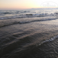 фото из отзыва ID 1969561