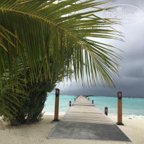 фото из отзыва ID 1969579