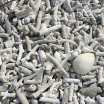 фото из отзыва ID 1969579