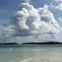 фото из отзыва ID 1969579