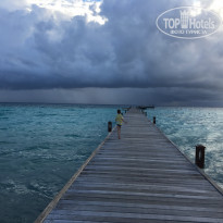 фото из отзыва ID 1969579