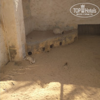 фото из отзыва ID 1969580