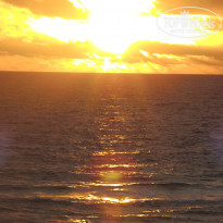 фото из отзыва ID 1969696