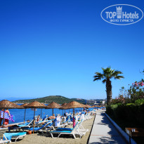 фото из отзыва ID 1969870