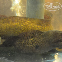 фото из отзыва ID 1969860