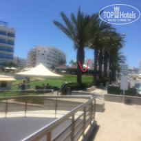 фото из отзыва ID 1969958