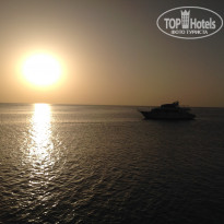 фото из отзыва ID 1969980