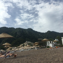 фото из отзыва ID 1967116