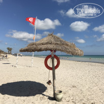 фото из отзыва ID 1965730