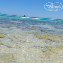 фото из отзыва ID 1968861