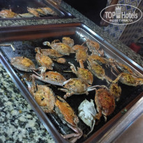 фото из отзыва ID 1968861