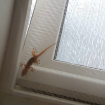 фото из отзыва ID 1961338