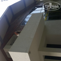 фото из отзыва ID 1969174