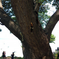 фото из отзыва ID 1960561