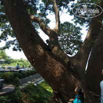 фото из отзыва ID 1960561