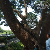 фото из отзыва ID 1960561