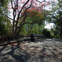 фото из отзыва ID 1960561