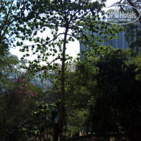 фото из отзыва ID 1960561