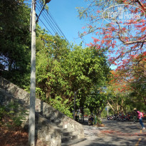 фото из отзыва ID 1960561