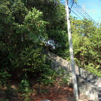 фото из отзыва ID 1960561