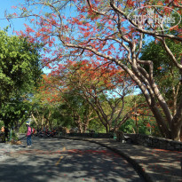 фото из отзыва ID 1960561