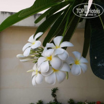 фото из отзыва ID 1960561